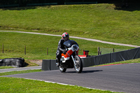 Vintage-motorcycle-club;eventdigitalimages;mallory-park;mallory-park-trackday-photographs;no-limits-trackdays;peter-wileman-photography;trackday-digital-images;trackday-photos;vmcc-festival-1000-bikes-photographs